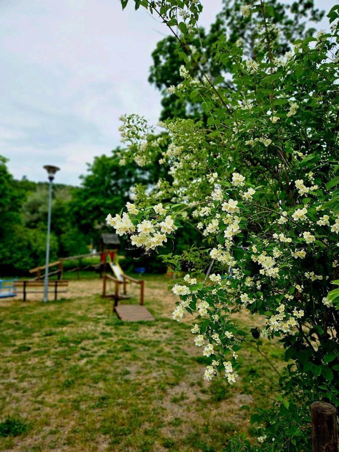 Smoldzinskie Zacisze Holiday home Smoldzino